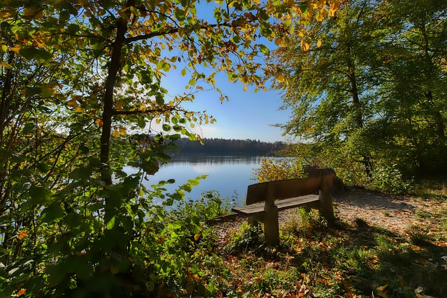 利的技术特 利的技术特