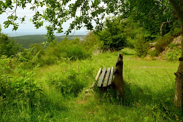 还在关键时 还在关键时